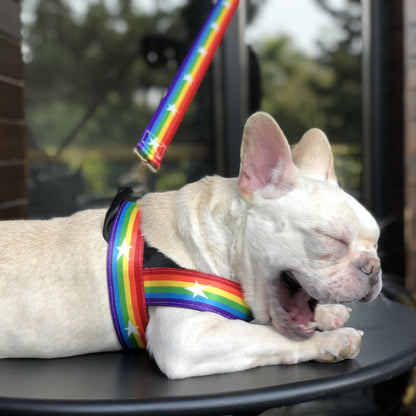Rainbow Cool Chain Dog Leash