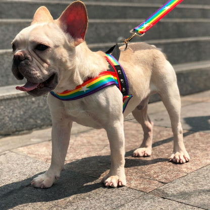 Rainbow Cool Chain Dog Leash