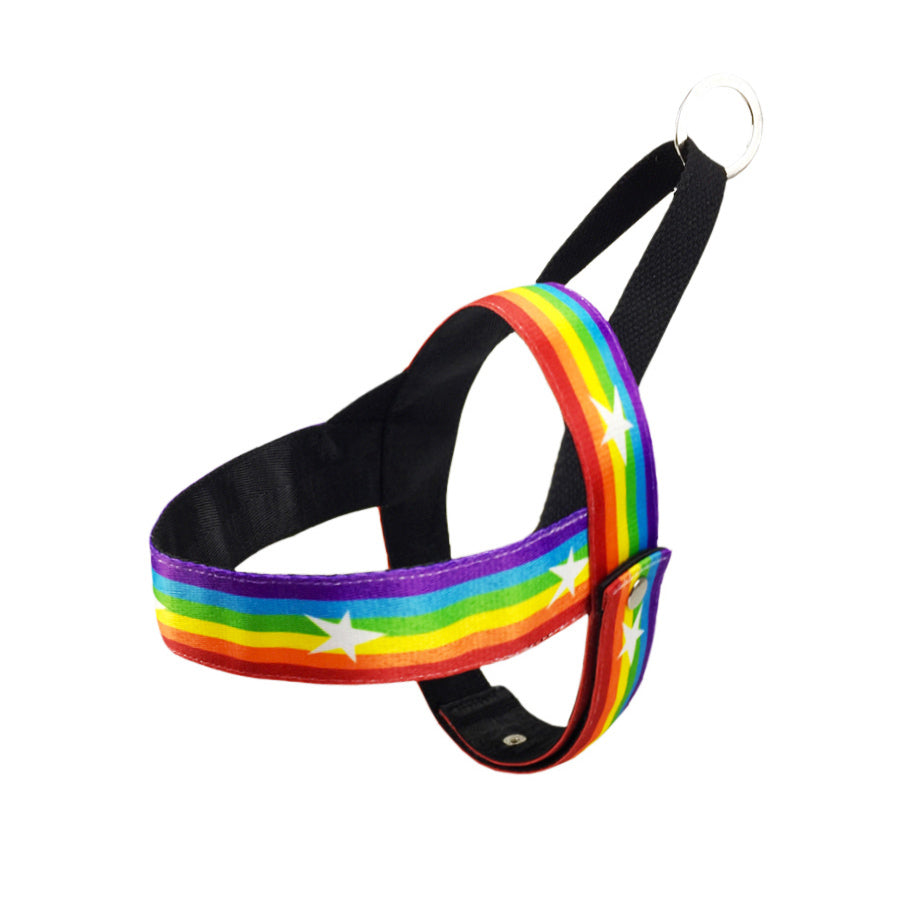 Rainbow Cool Chain Dog Leash