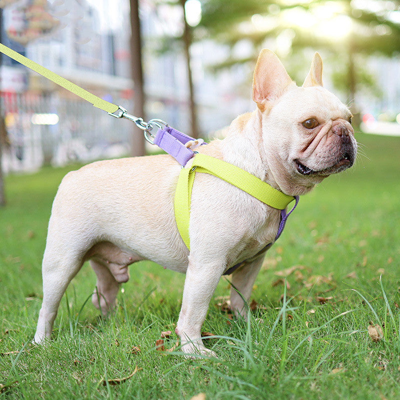 Vest-style Dog Drawstring Leash