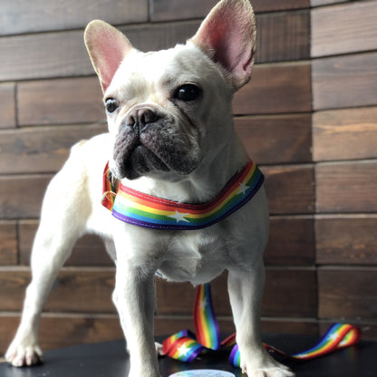 Rainbow Cool Chain Dog Leash