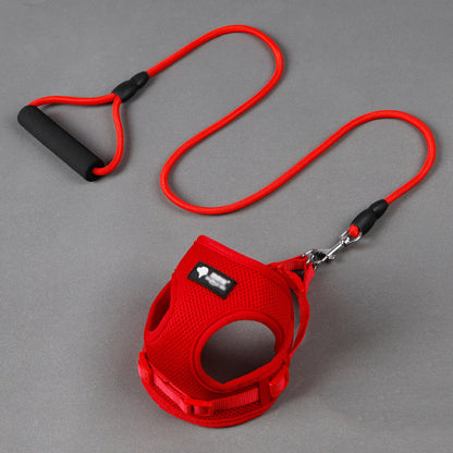 Dog Leash Collar