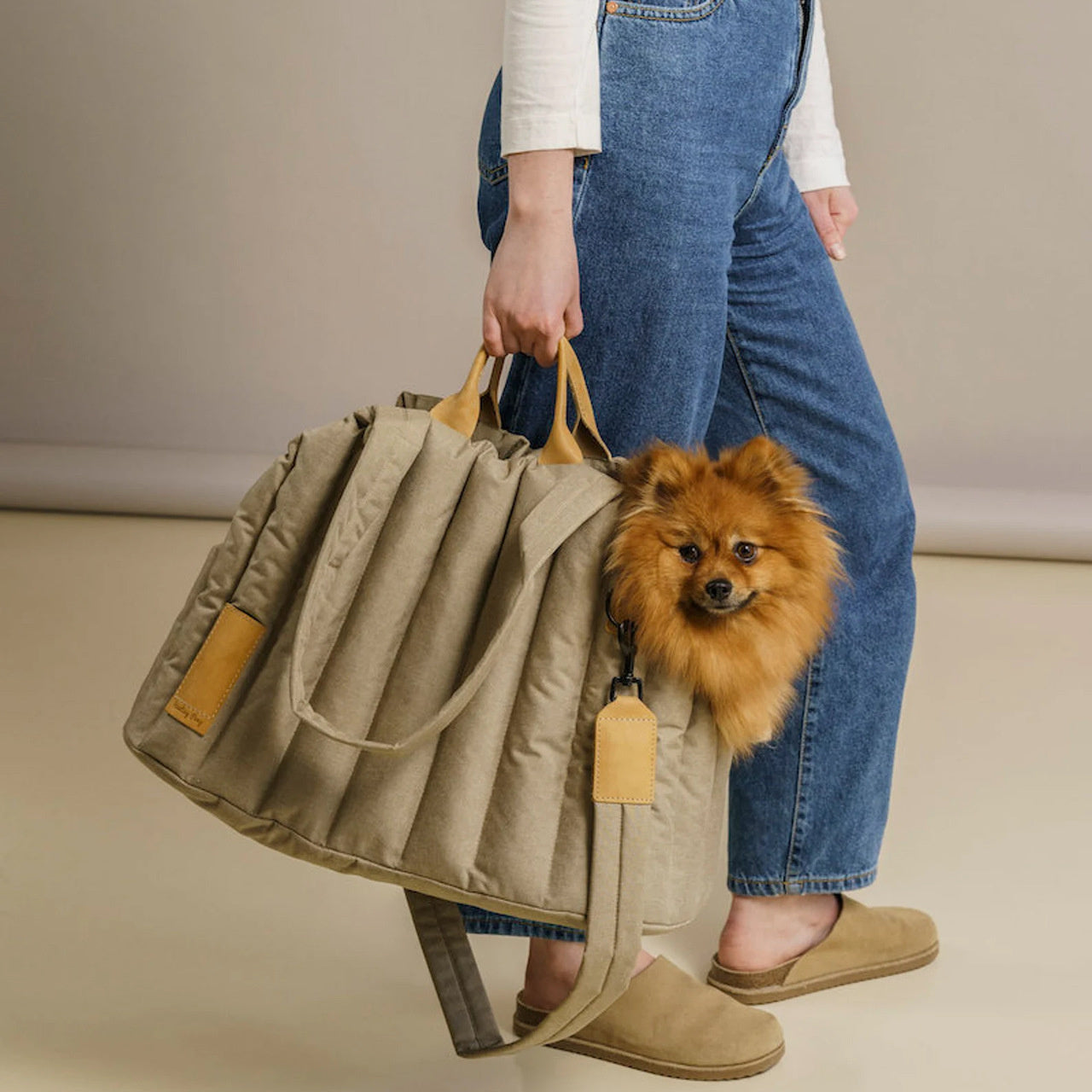Waterproof Dog Out Portable Handbag