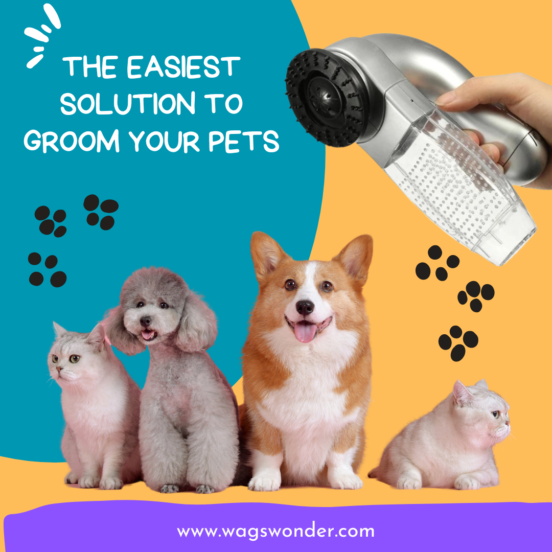 Portable Handheld Vacuum For Pet Hair