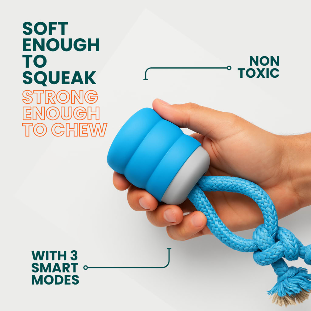 The Chase Buddy Dog Boredom Stimulating Toy