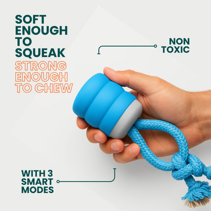 The Chase Buddy Dog Boredom Stimulating Toy