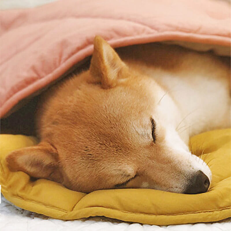 WagsWonder™ Leaf Shape Dog Blanket