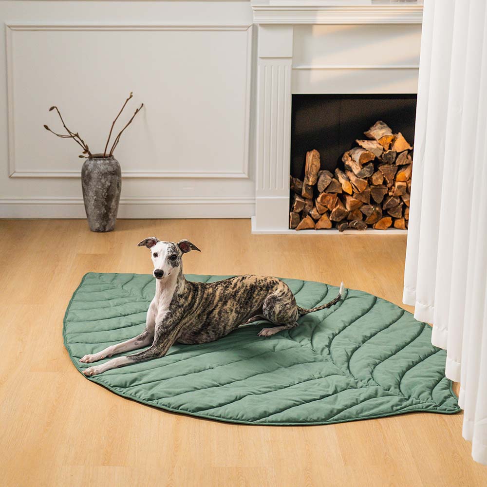 WagsWonder™ Leaf Shape Dog Blanket