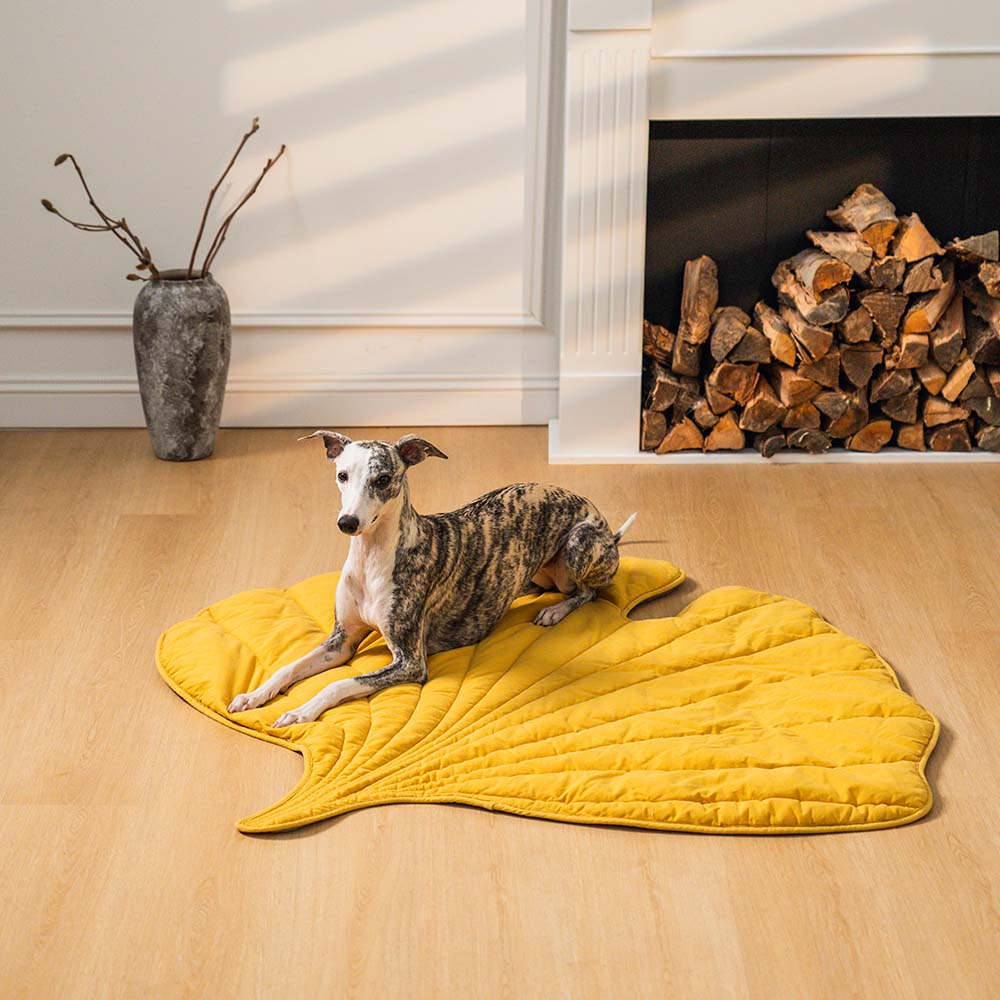 WagsWonder™ Leaf Shape Dog Blanket