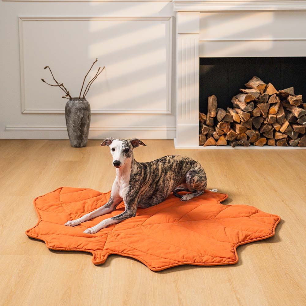 WagsWonder™ Leaf Shape Dog Blanket