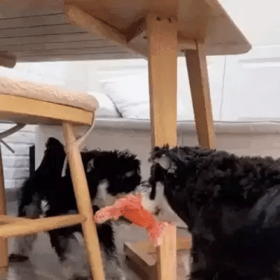 Dancing Lobster Plush Toy