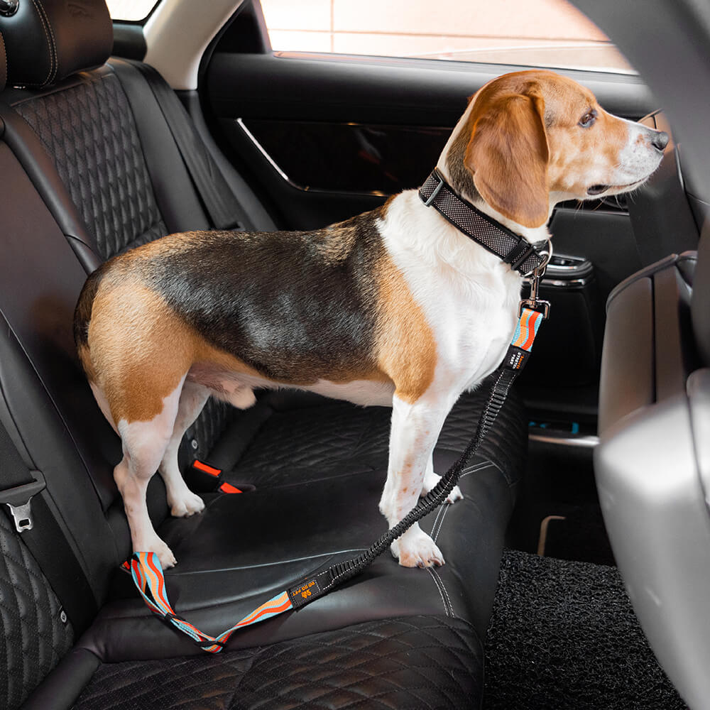 Colorful Buffer Adjustable Dog Car Seat Belt