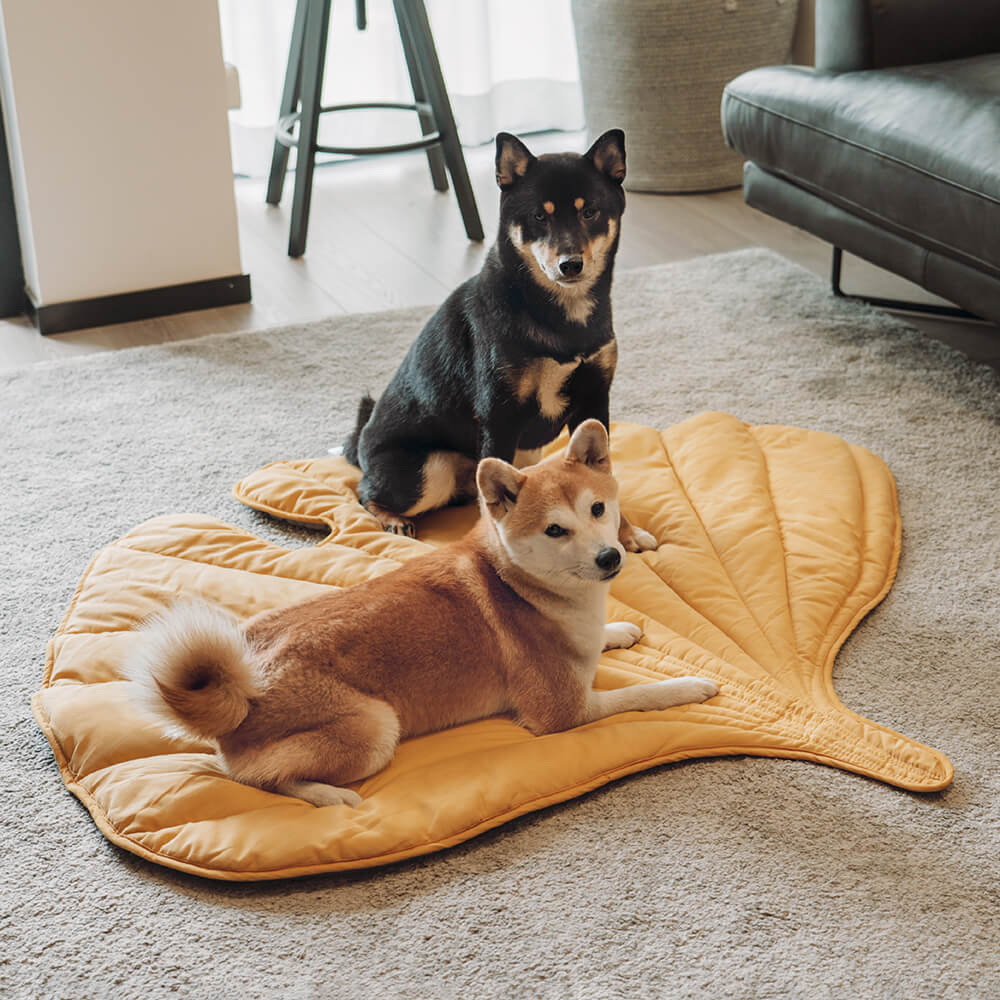 WagsWonder™ Leaf Shape Dog Blanket