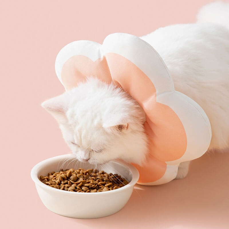 Flower Soft Pet Recovery Collar Adjustable