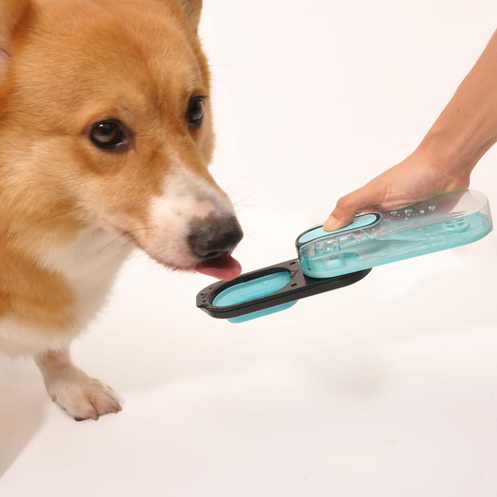 Dog Portable Water Bottle - Oceanarium