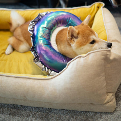 Pet Recovery Collar - Iridescent