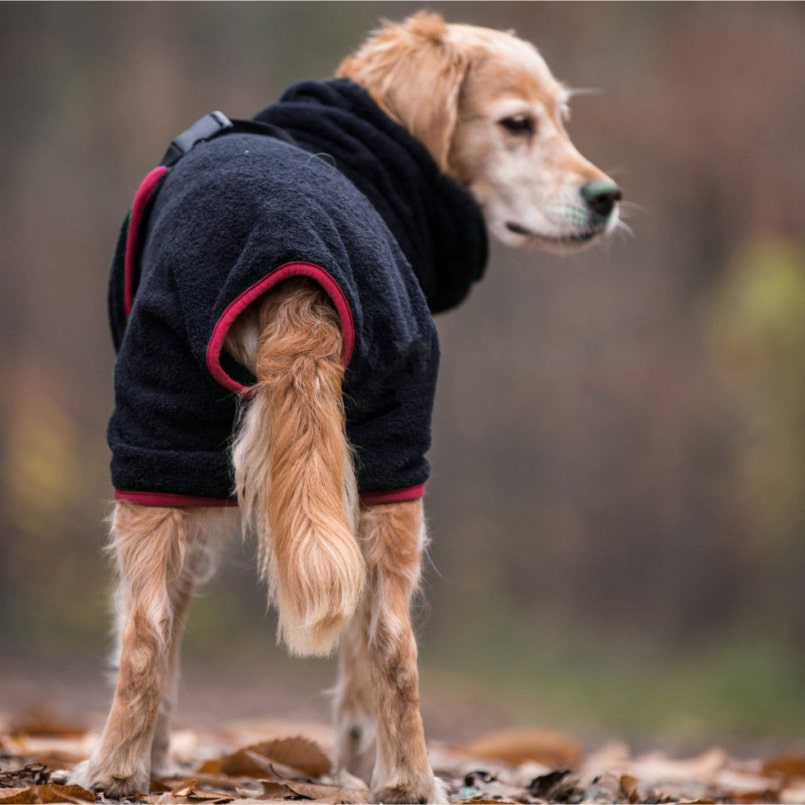 Wearable Quick-Dry Towel