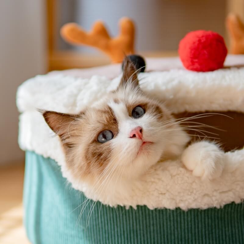 Christmas Elk Enclosed  Plush Cat Cave