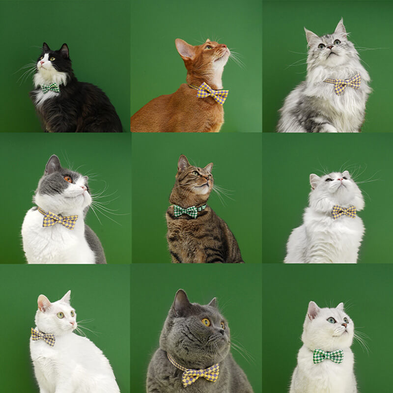 Colourful Series Funny Bow Tie Cat Tunnel Collar