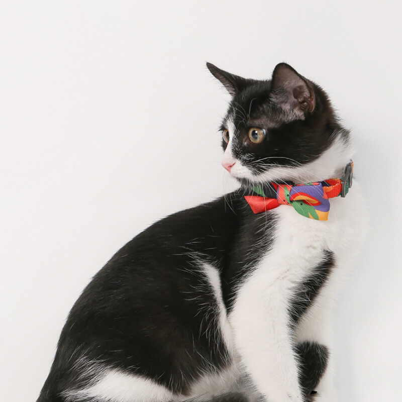 Colourful Series Funny Bow Tie Cat Tunnel Collar