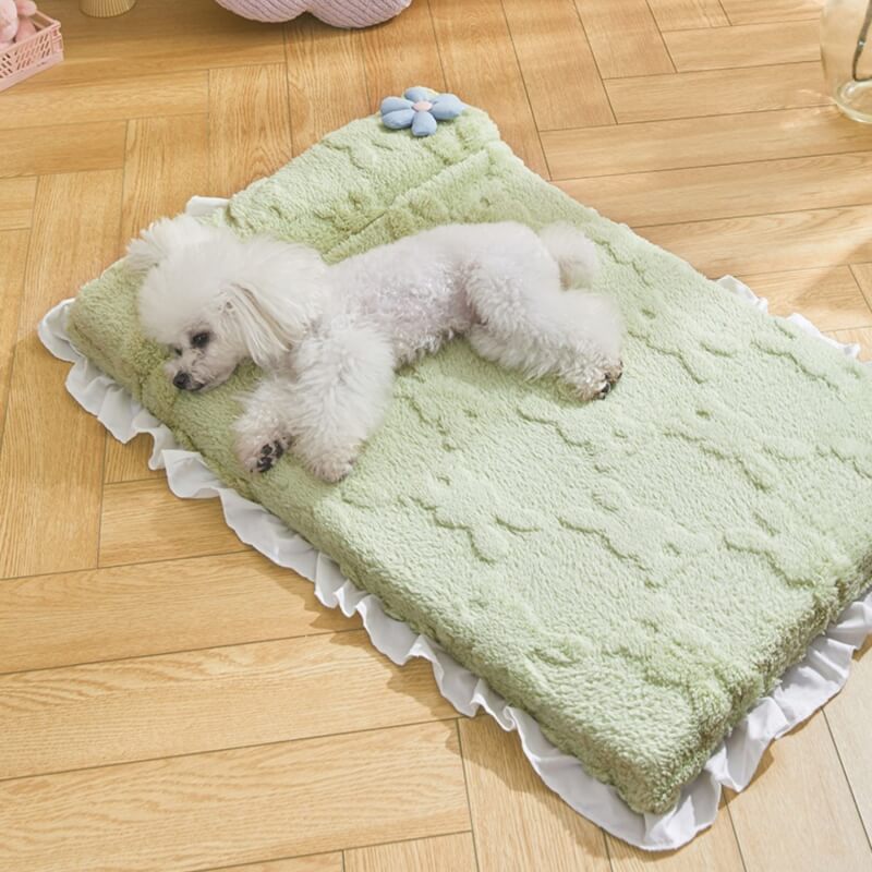 Cozy Plush Calming Bed Dog & Cat Bed