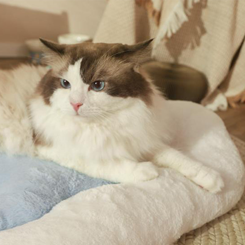Cute Furry Cat & Dog Cushion Bed