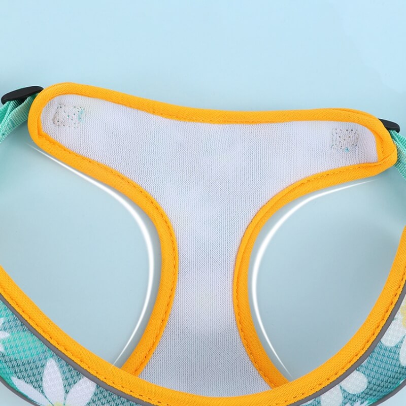 Dog Breathable Harness No Pull  Dog Walk Set