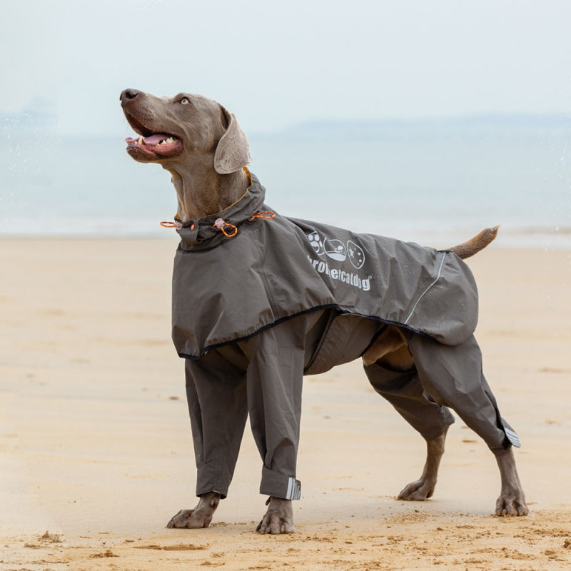 Fully Wrapped Reflective Dog Raincoat With Legs And Hood