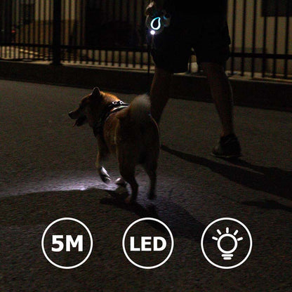 LED Long Retractable Dog Training Lead