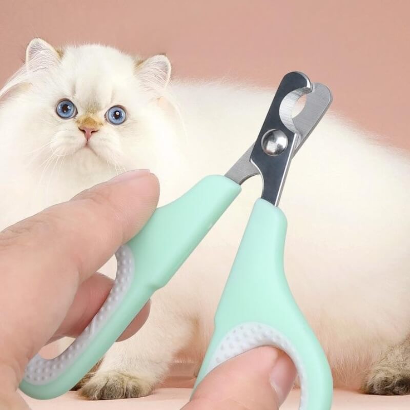 Pet Grooming Brush Tool Kit