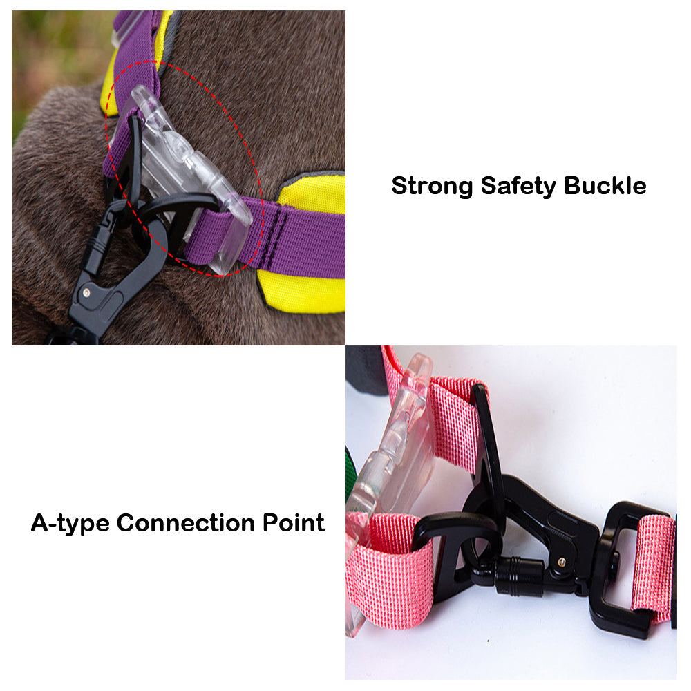 Stylish Comfortable No Pull Dog Collar