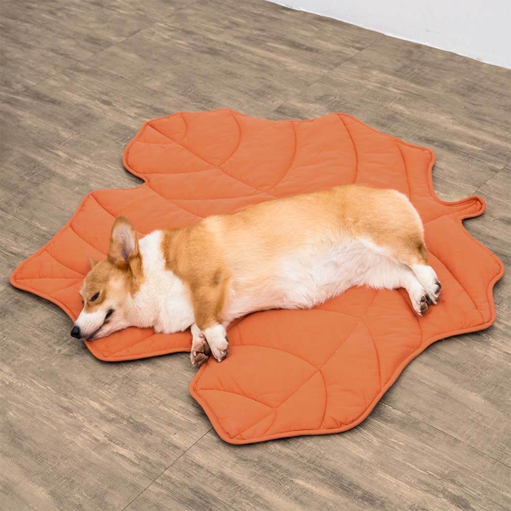 WagsWonder™ Leaf Shape Dog Blanket