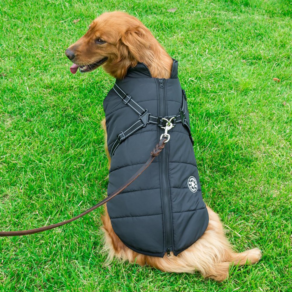 WagsWonder™ - Waterproof Winter Jacket with Built-in Harness