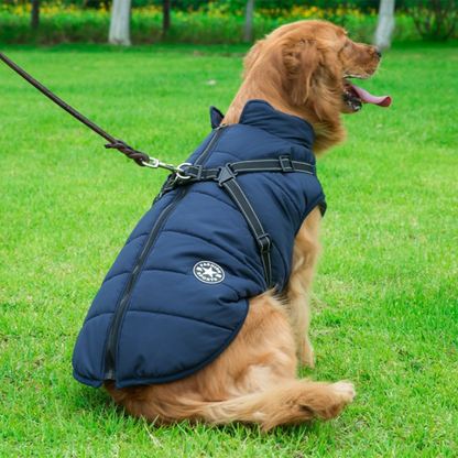 WagsWonder™ - Waterproof Winter Jacket with Built-in Harness