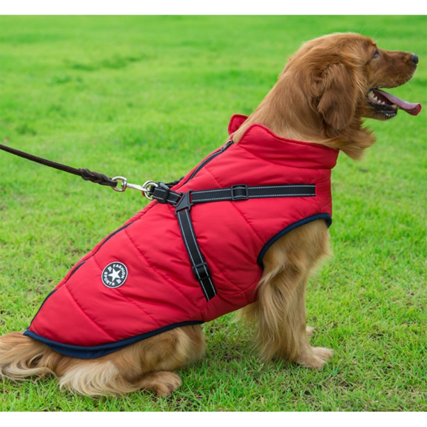 WagsWonder™ - Waterproof Winter Jacket with Built-in Harness