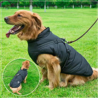 WagsWonder™ - Waterproof Winter Jacket with Built-in Harness
