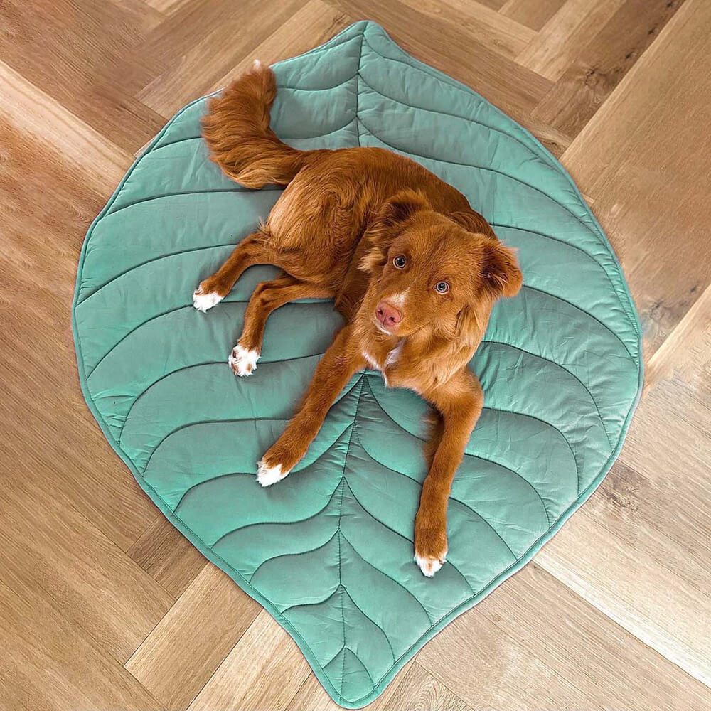 WagsWonder™ Leaf Shape Dog Blanket