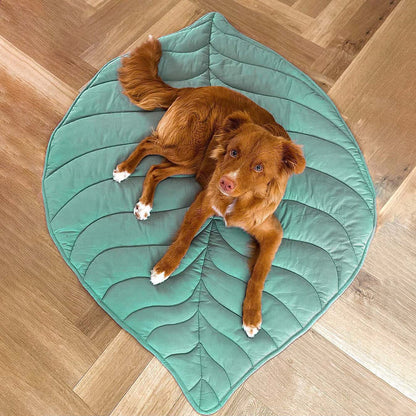 WagsWonder™ Leaf Shape Dog Blanket